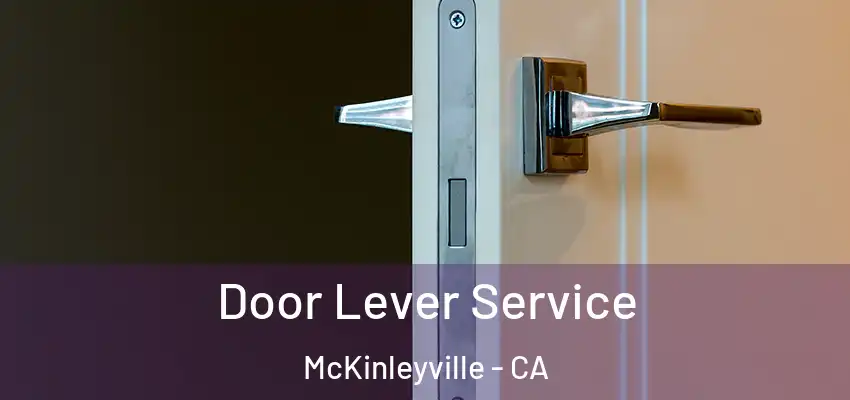  Door Lever Service McKinleyville - CA