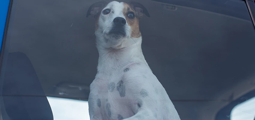 Car Lockout Solutions in McKinleyville, California